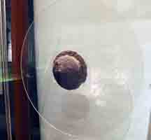 Photograph of remains of a warrier&rsquo;s shield